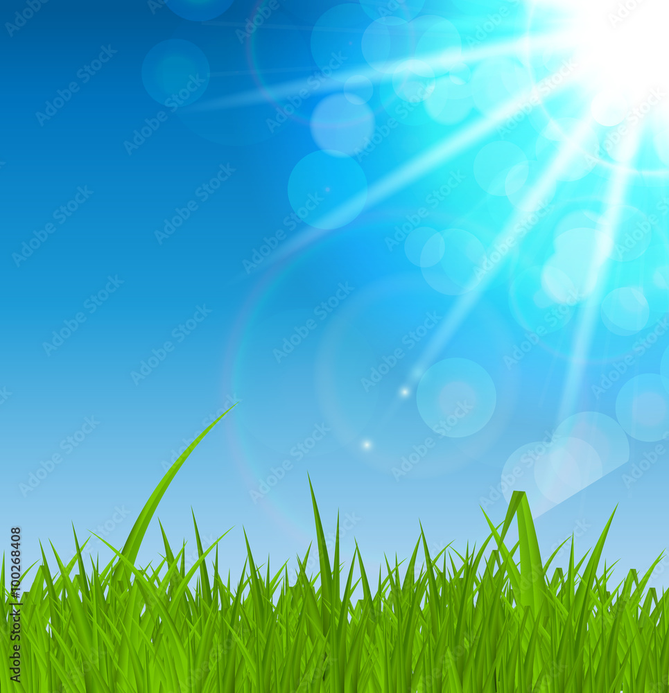 Summer Abstract Background with Grass. Vector Illustration