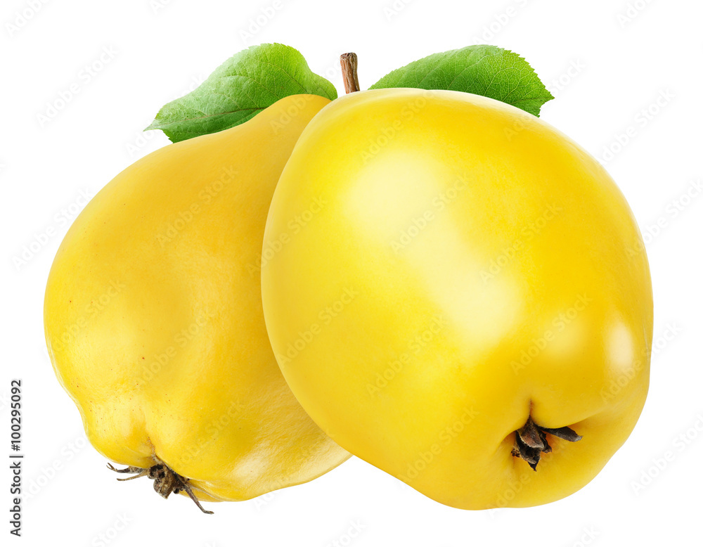 Two quince fruits isolated