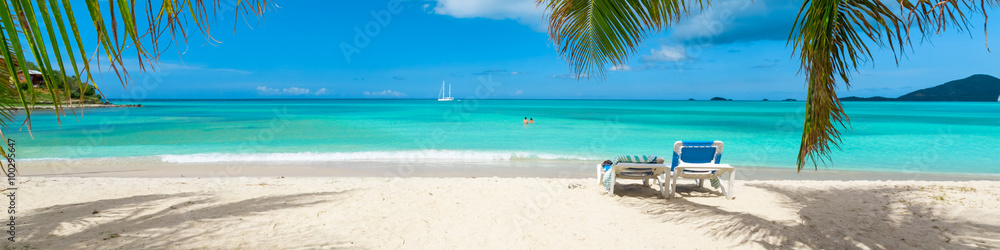 热带海滩度假背景，加勒比海岛上的棕榈树，平静的绿松石水域