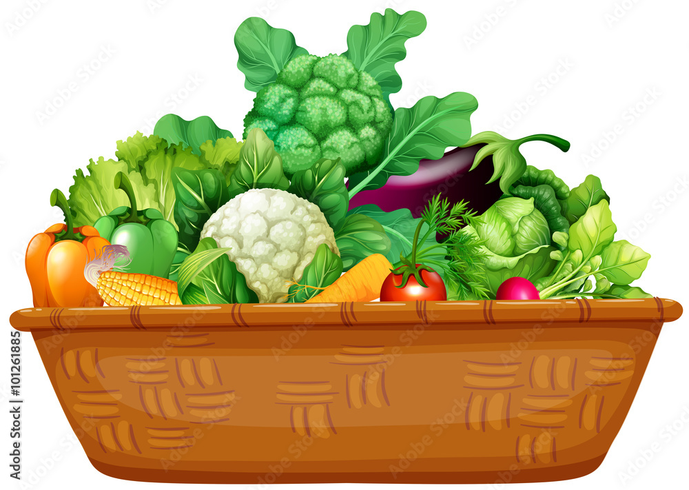 装满新鲜蔬菜的篮子