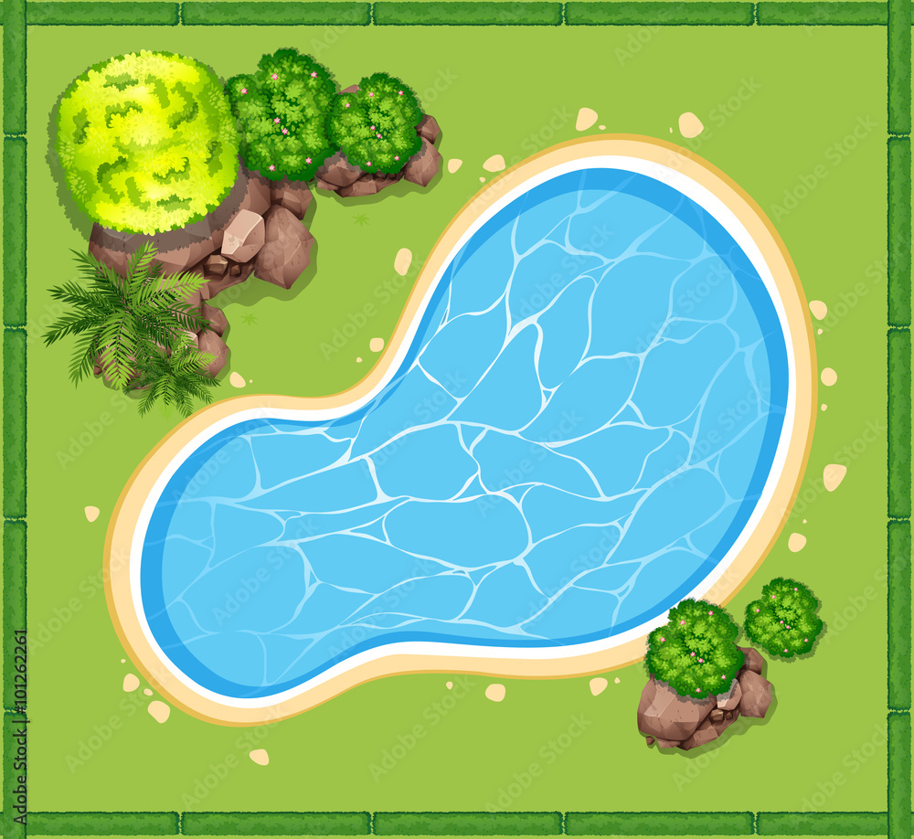 花园游泳池俯视图