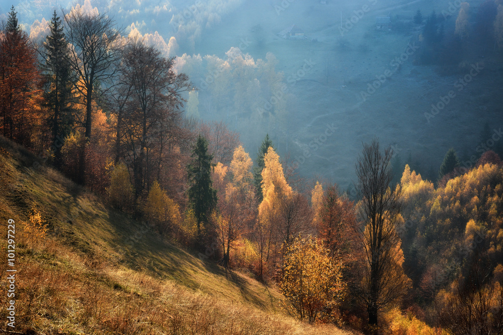 秋天的一天，雾蒙蒙，阳光明媚，在特兰西瓦尼亚的野生山丘上。霍尔巴夫。罗马尼亚。低调，深色背景。
