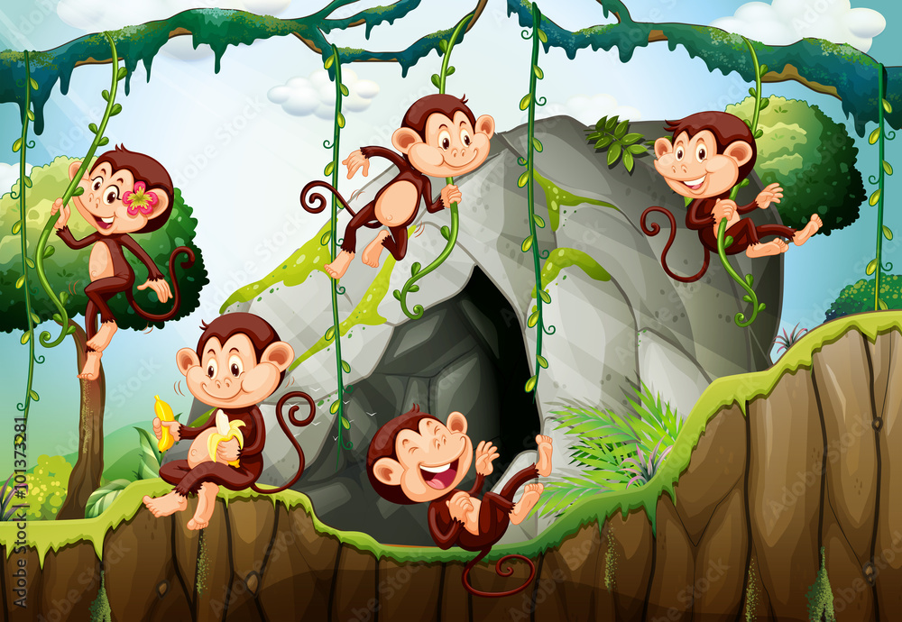 生活在森林里的五只猴子