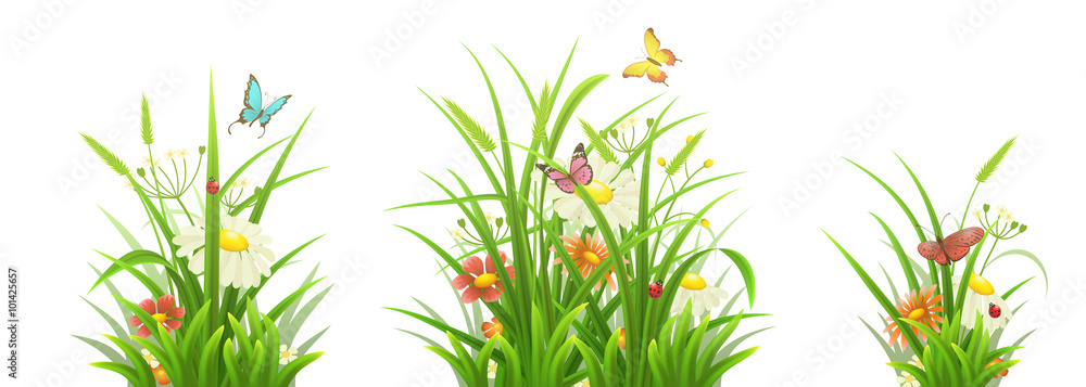 春草、花朵和蝴蝶，矢量插图集
