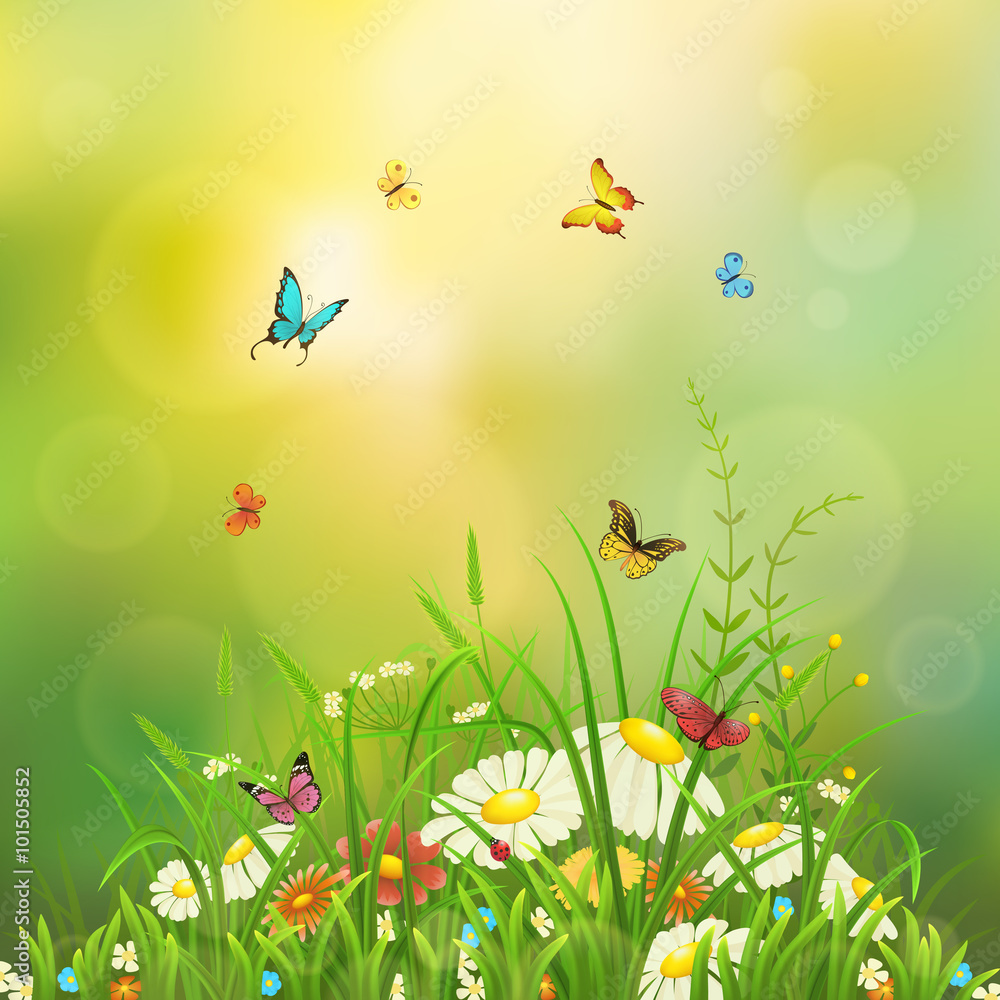 绿草、鲜花和蝴蝶的春天自然背景