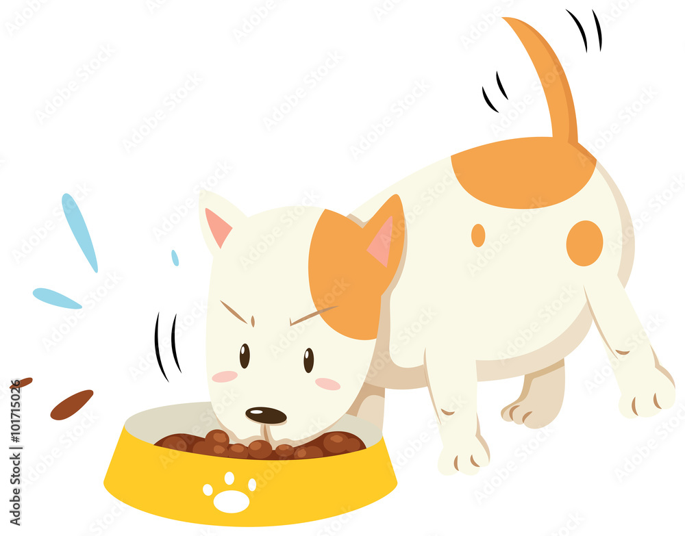 小狗从碗里吃东西