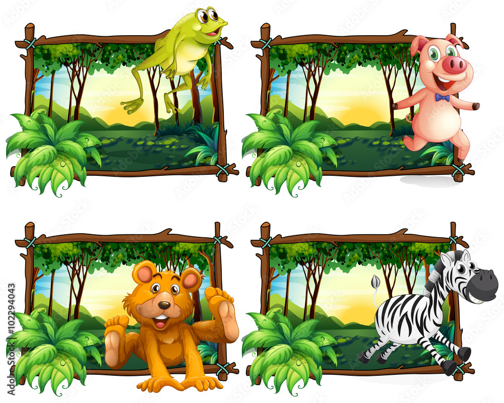 丛林中的四帧野生动物