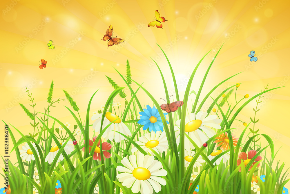 绿草、鲜花和蝴蝶的春天自然背景