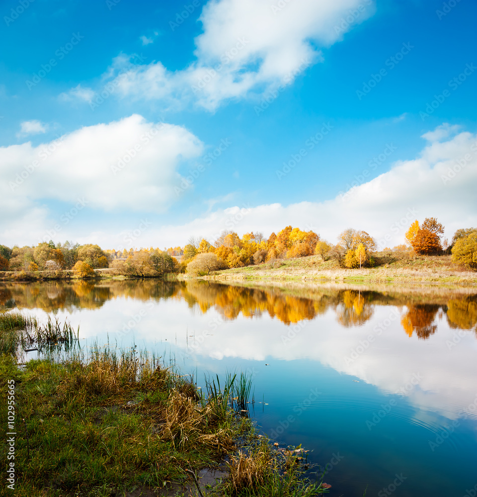 秋天的风景。黄色的树木，蓝色的天空和湖泊。
