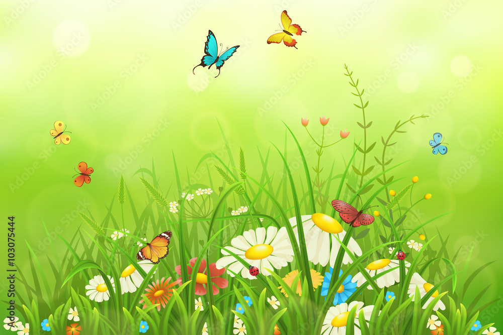 春天或夏天的自然背景，绿草、鲜花和蝴蝶