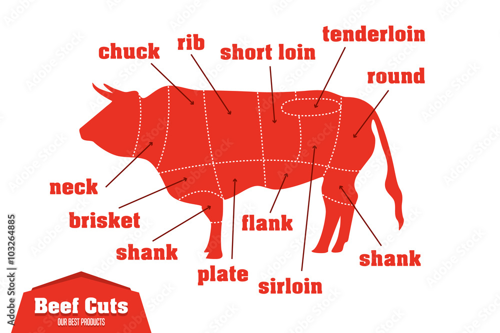 牛肉切块信息图形集，肉部分，矢量