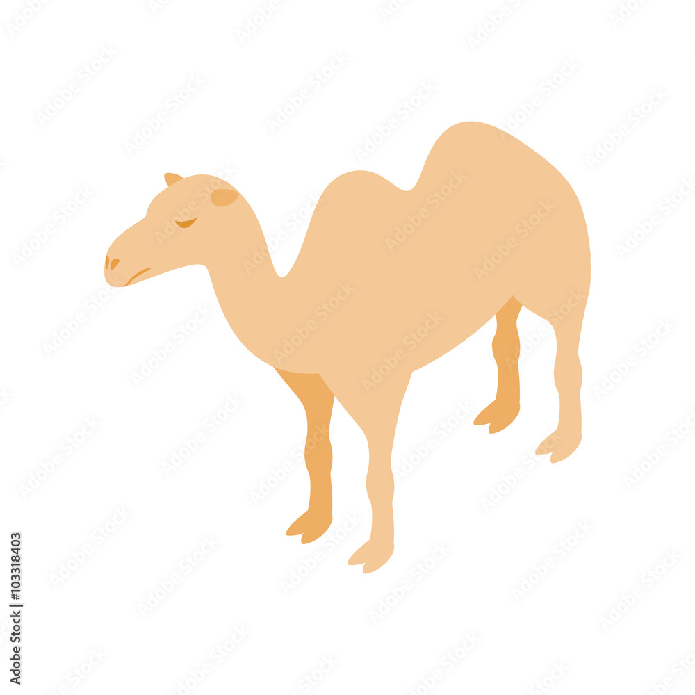 骆驼图标，等角三维样式