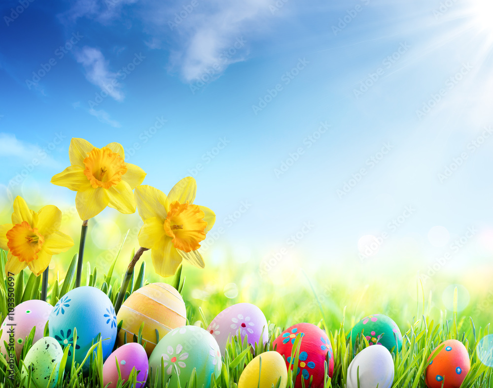 Daffodils And Colorful Decorated Eggs On The Sunny Meadow - Easter Holiday Background
