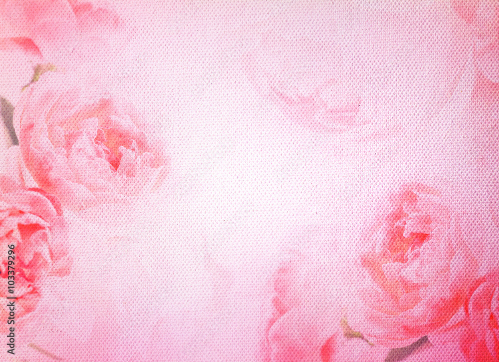 柔和的玫瑰在白色空艺术家画布纹理上过滤