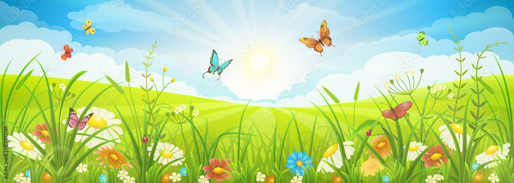 鲜花盛开的夏季或春季景观，鲜花盛开的草地，蓝天和蝴蝶