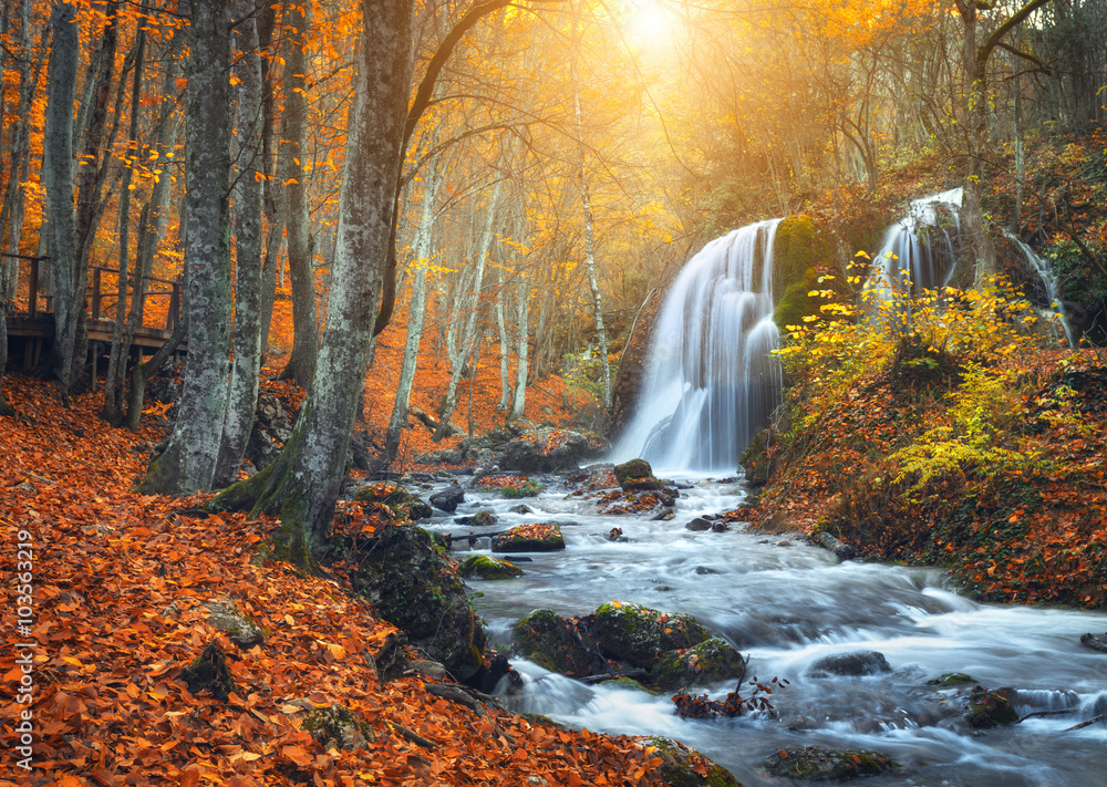 日落时红叶和桔黄色的彩色秋林中山河上的美丽瀑布