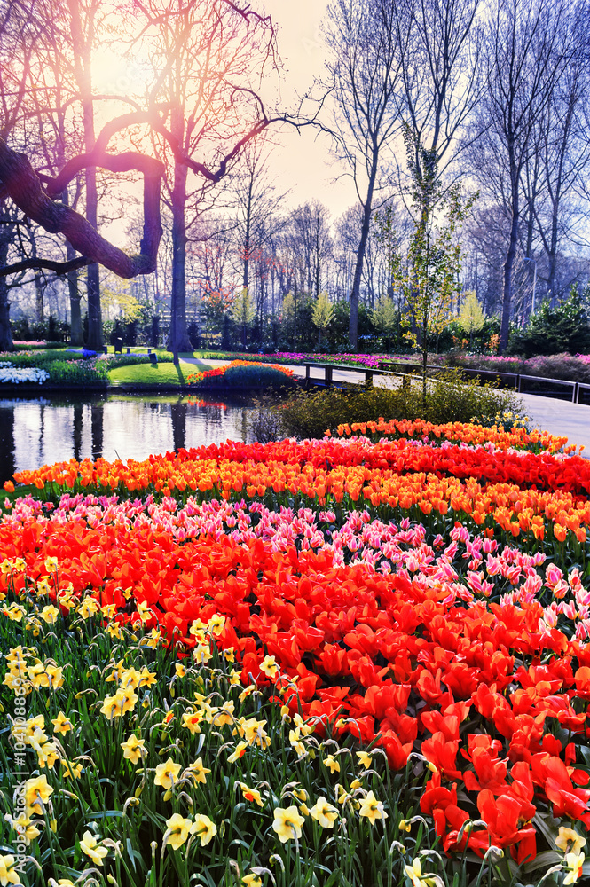 Spring landscape with colorful seasonal flowers