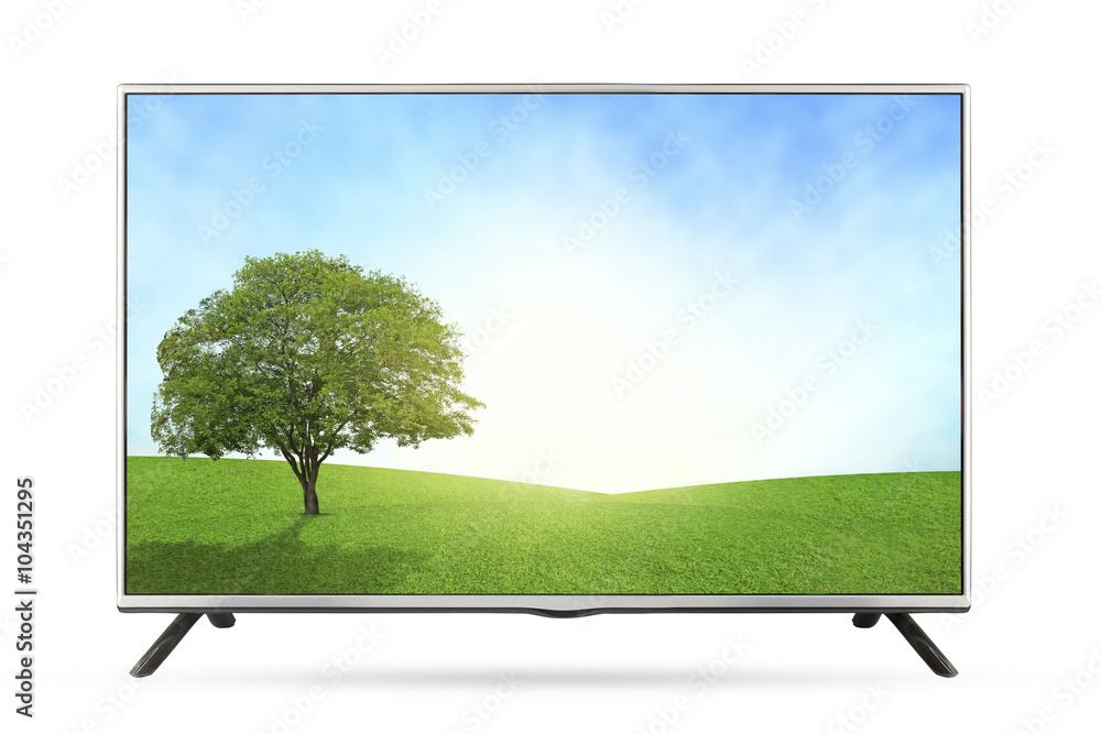 New TV grassland field  landscape isolated on white background.