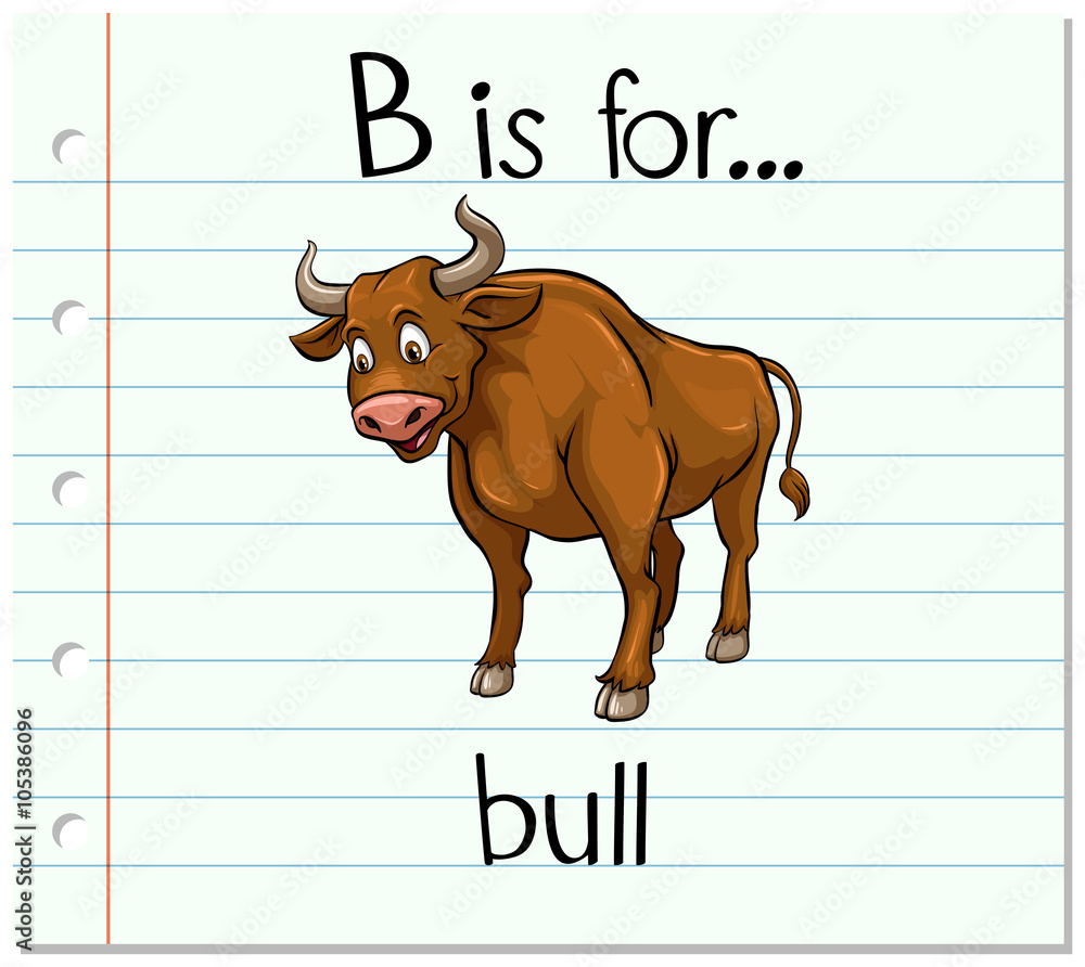 抽认卡字母B代表公牛