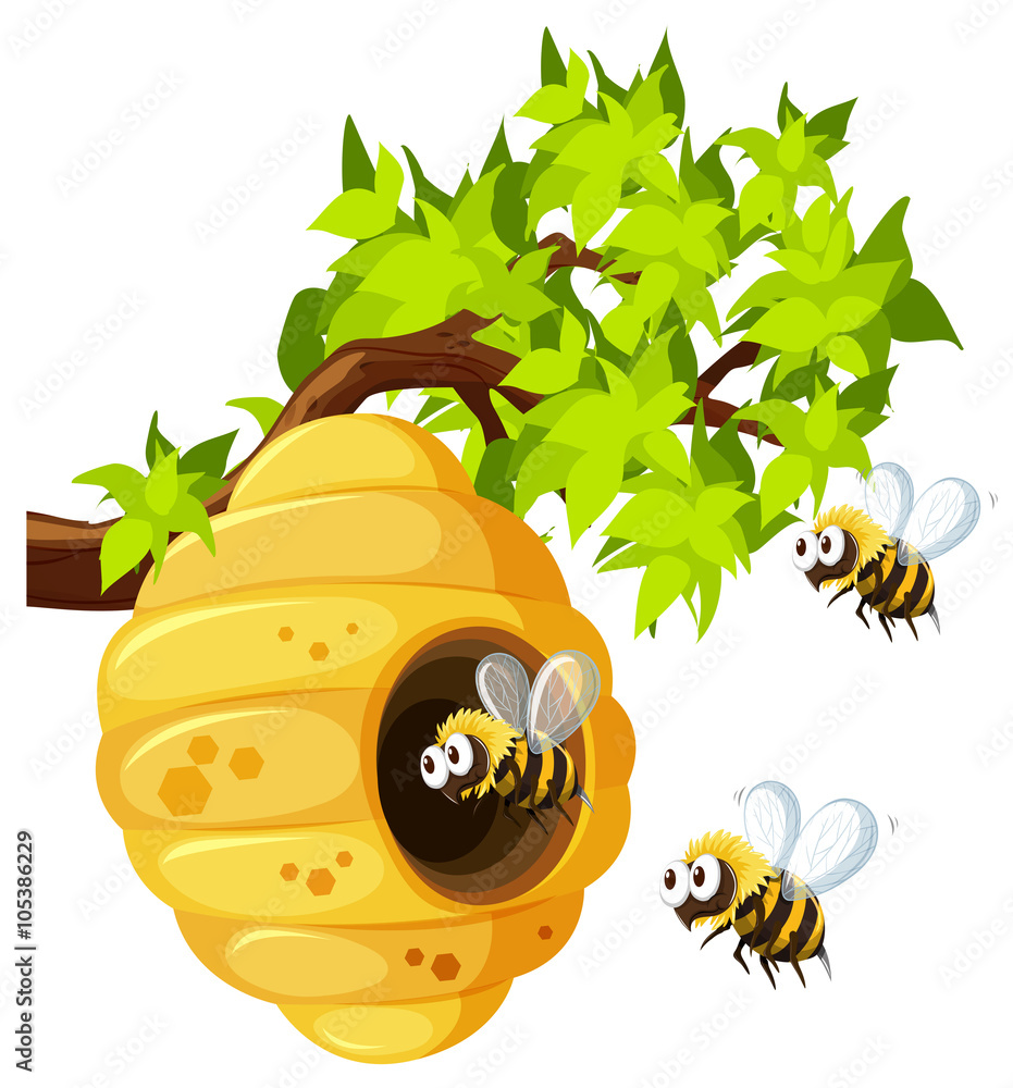 蜜蜂在蜂窝周围飞翔
