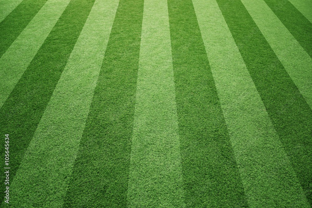 阳光明媚的socccer或橄榄球人造草地背景。