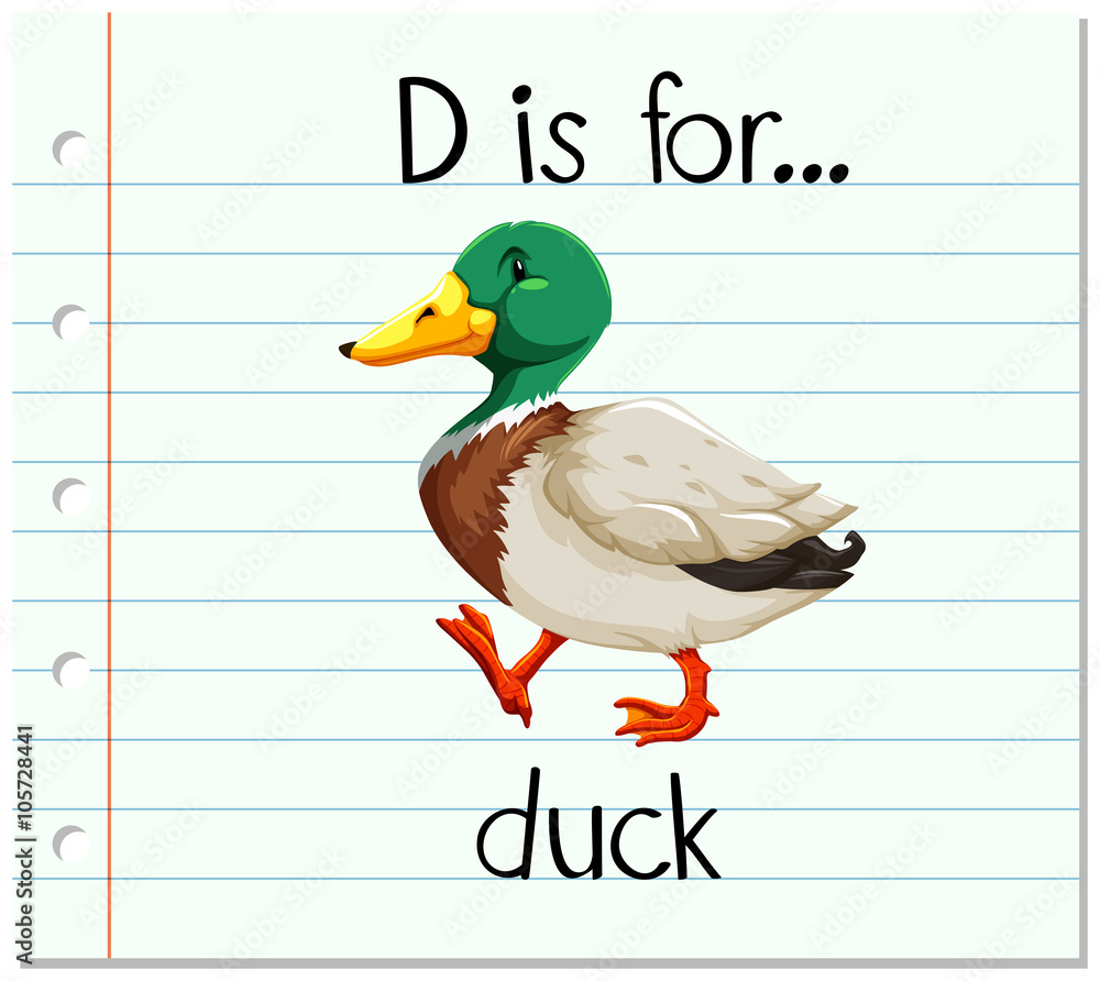 抽认卡字母D代表鸭子