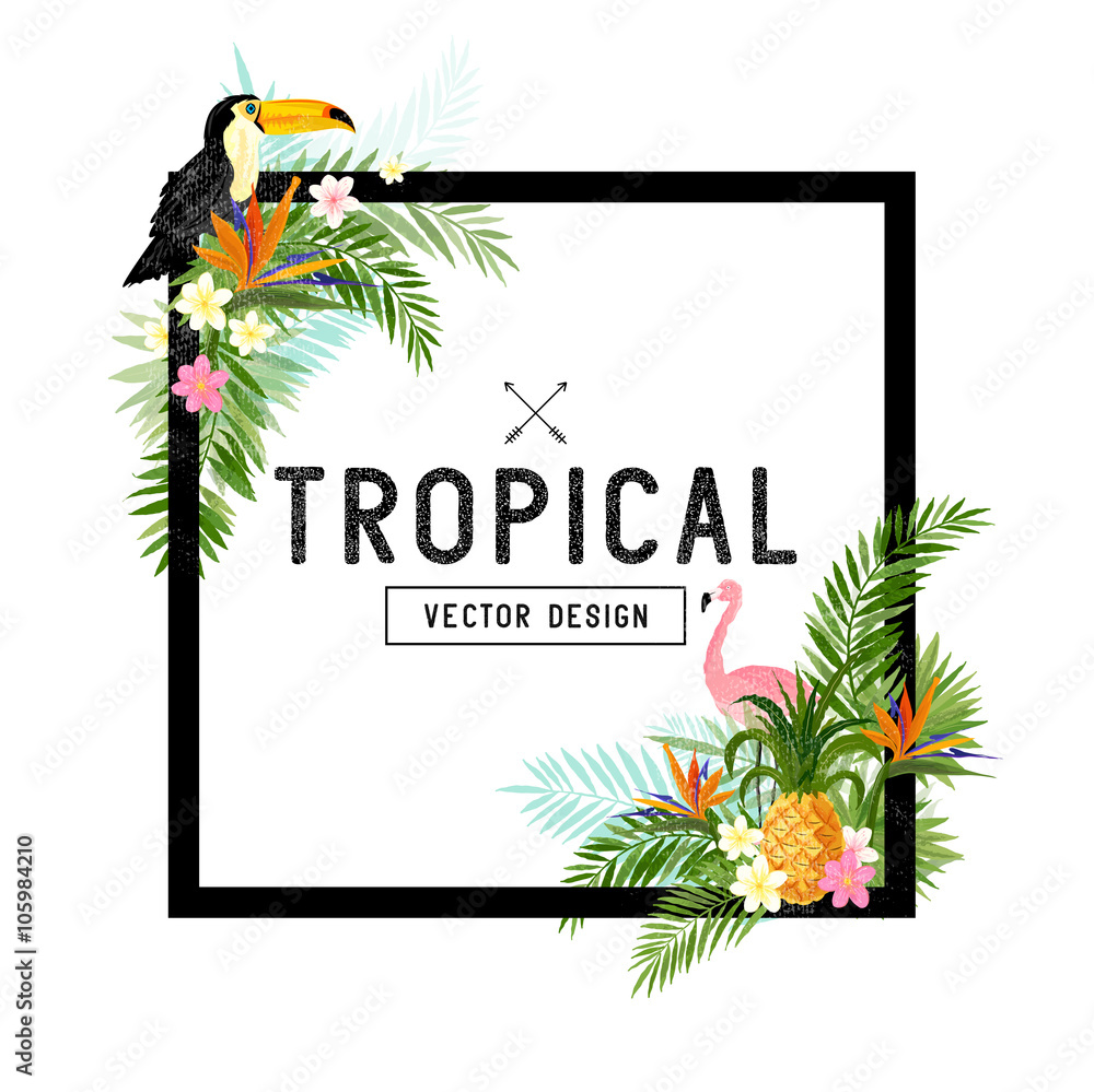 热带设计元素。各种热带物品，包括土坎鸟、菠萝和棕榈叶。