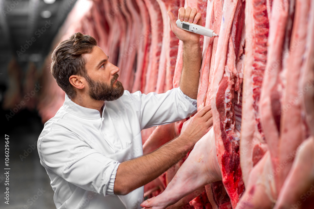 屠夫在肉类制造厂的冰箱里测量猪肉温度