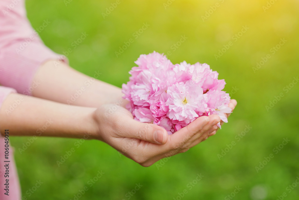 捧着粉色樱花的面目全非的女人的手