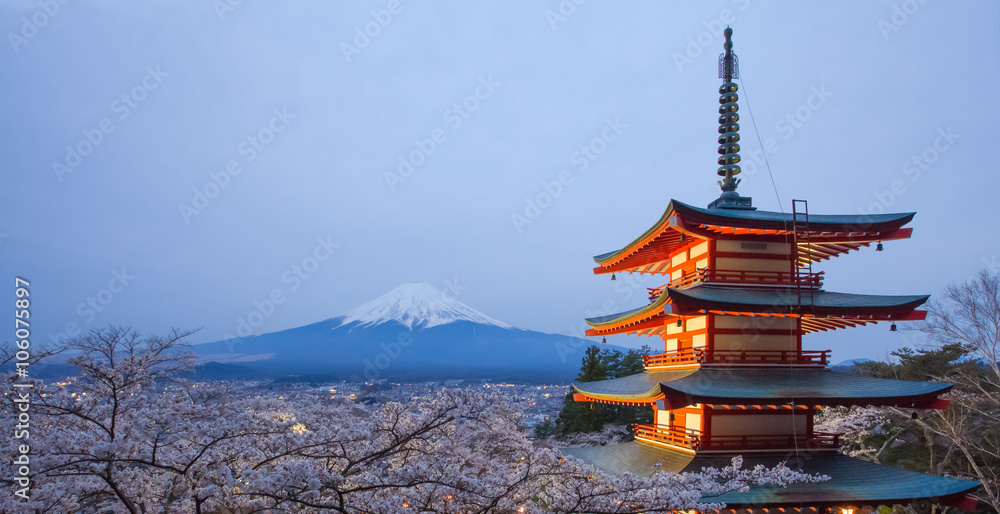 樱花樱花季节的富士山和红塔