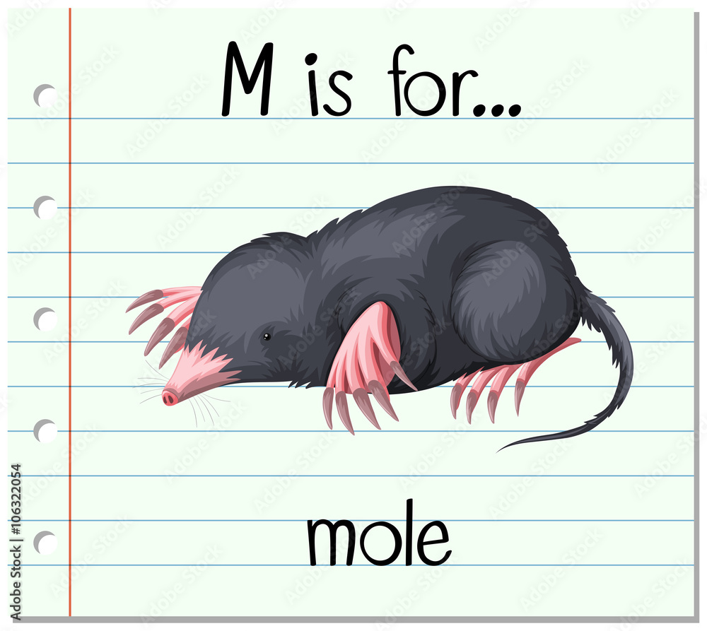 名片字母M代表鼹鼠