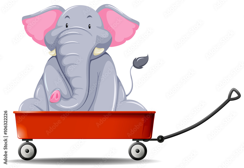 Elephant in the red wagon