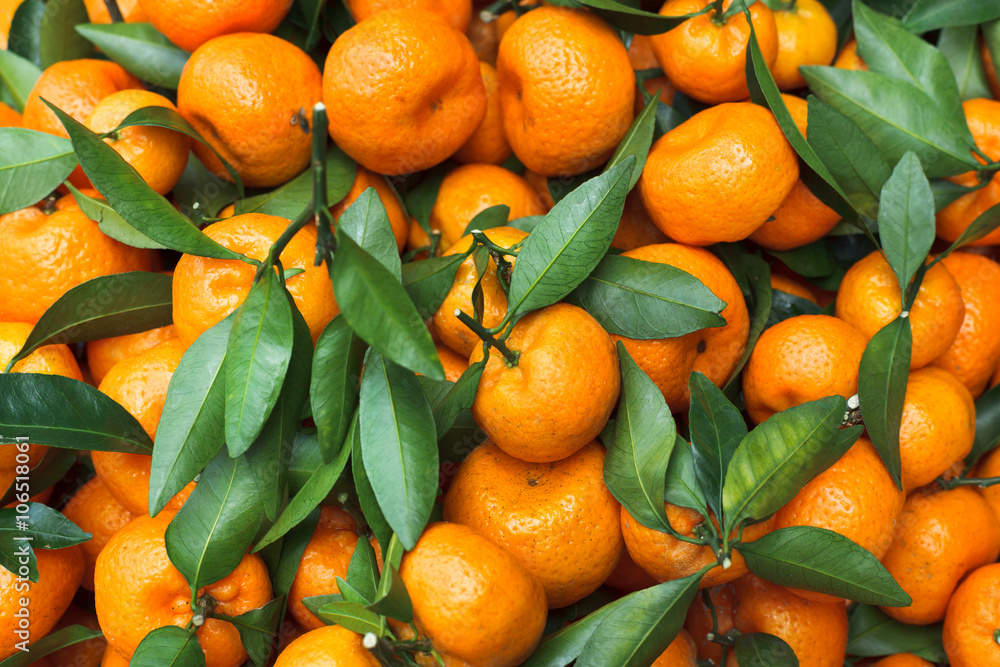 新鲜的柑橘背景。橙色水果。