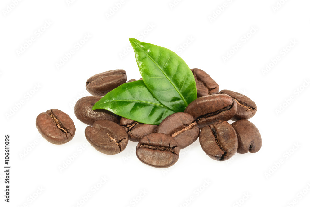 分离的咖啡粒和咖啡叶