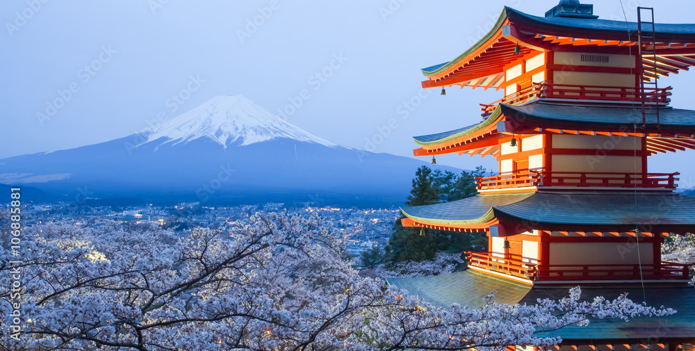 樱花樱花季节的富士山和红塔