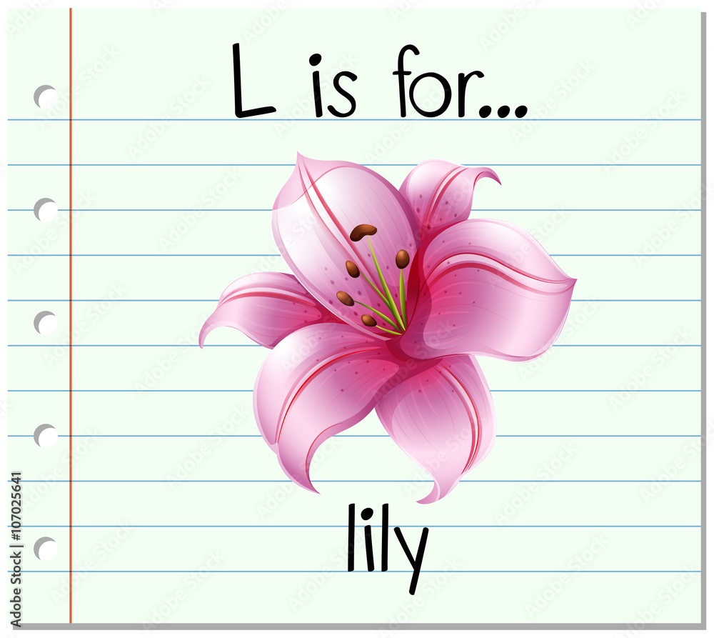抽认卡字母L代表lily