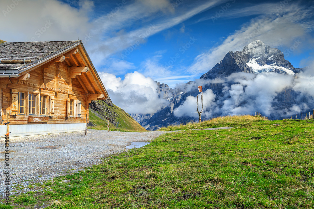典型的高山木屋，格林德瓦尔德，瑞士，欧洲