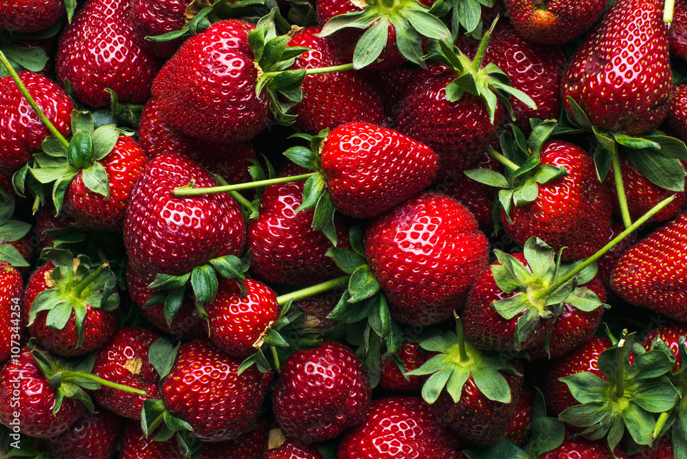 新鲜收获的成熟草莓，俯视图