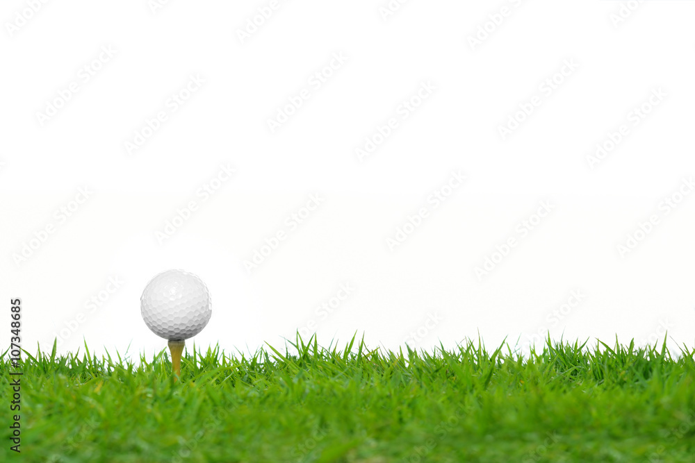 绿色草地上的高尔夫球在白色背景下隔离