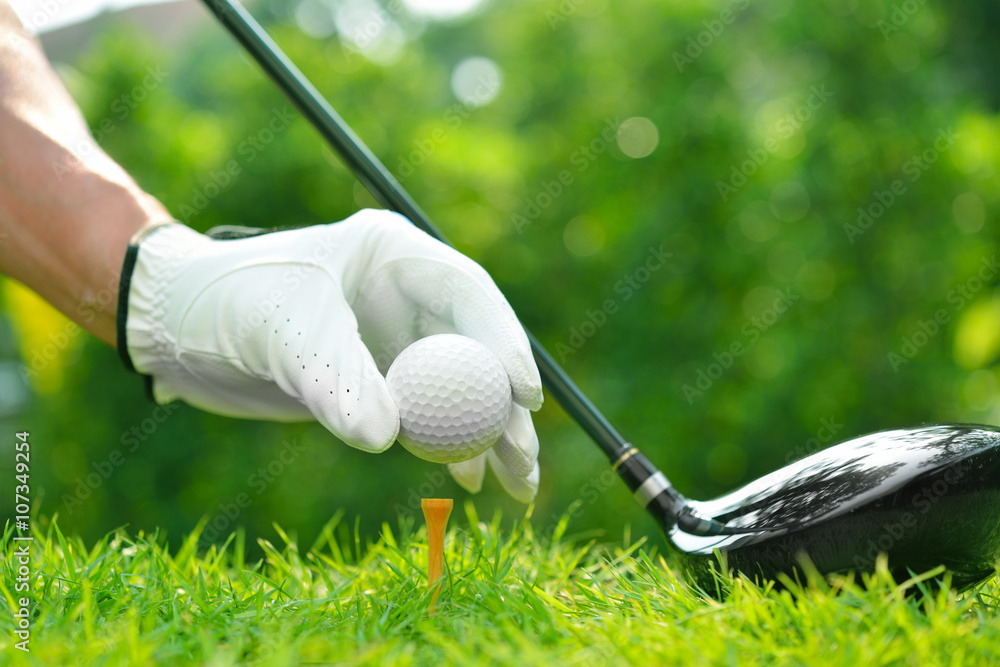 高尔夫球手在高尔夫球场背景的绿草上与车手一起手持高尔夫球