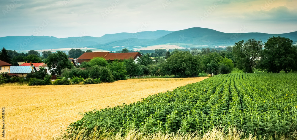colorful panorama of field with countryside and mountains on the background