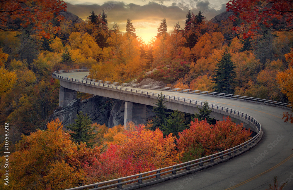 Curvy autumn road