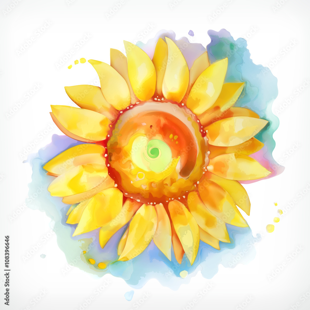 水彩画，向日葵，矢量插图，孤立在白色背景上