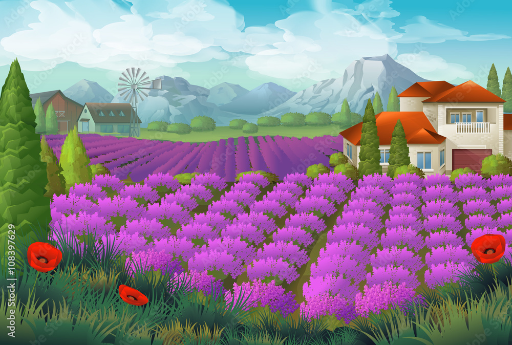 Lavender flowers field. Nature landscape, vector background
