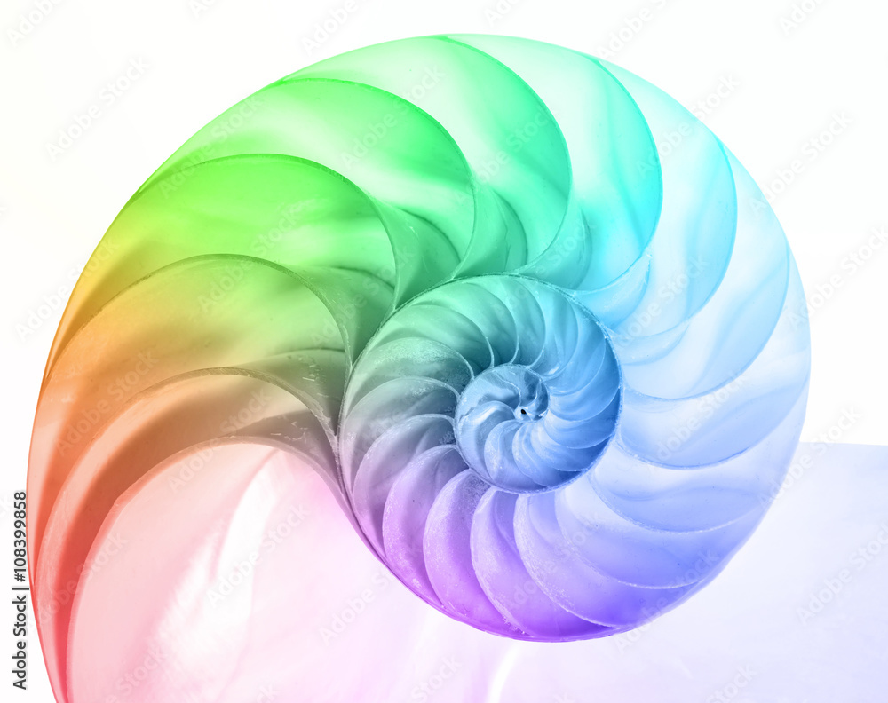 Regenbogenfarben的Nautilus