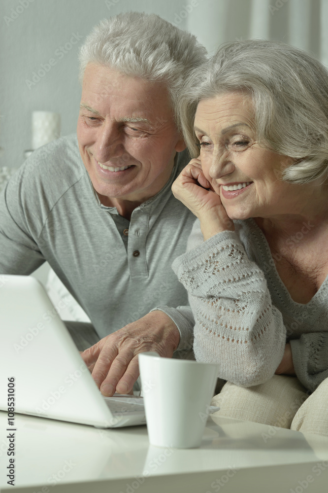 拥有笔记本电脑的幸福老年夫妇