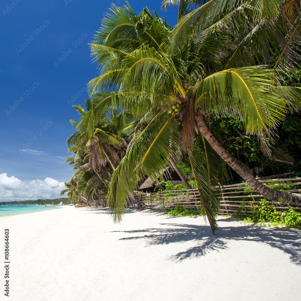 热带海滩，有椰子树、白沙和绿松石