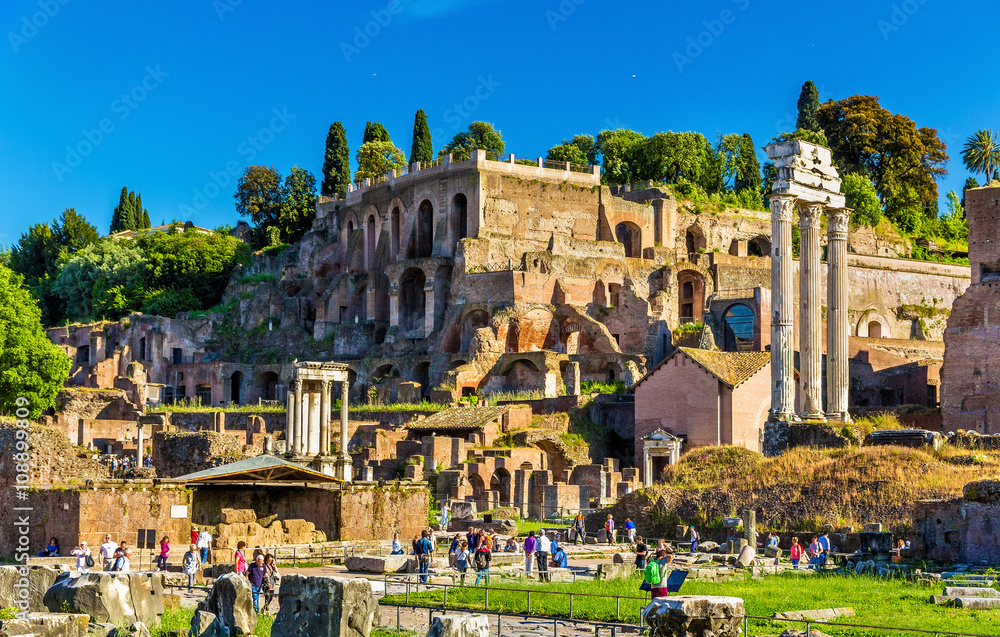 Domus Tiberiana在罗马论坛上的景色
