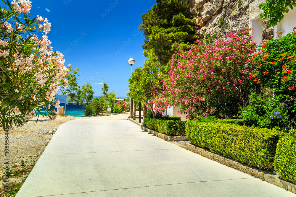 壮观的地中海街道，靠近雄伟的海滩，布雷拉，克罗地亚，欧洲