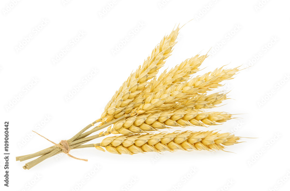 在白色上分离的小麦。